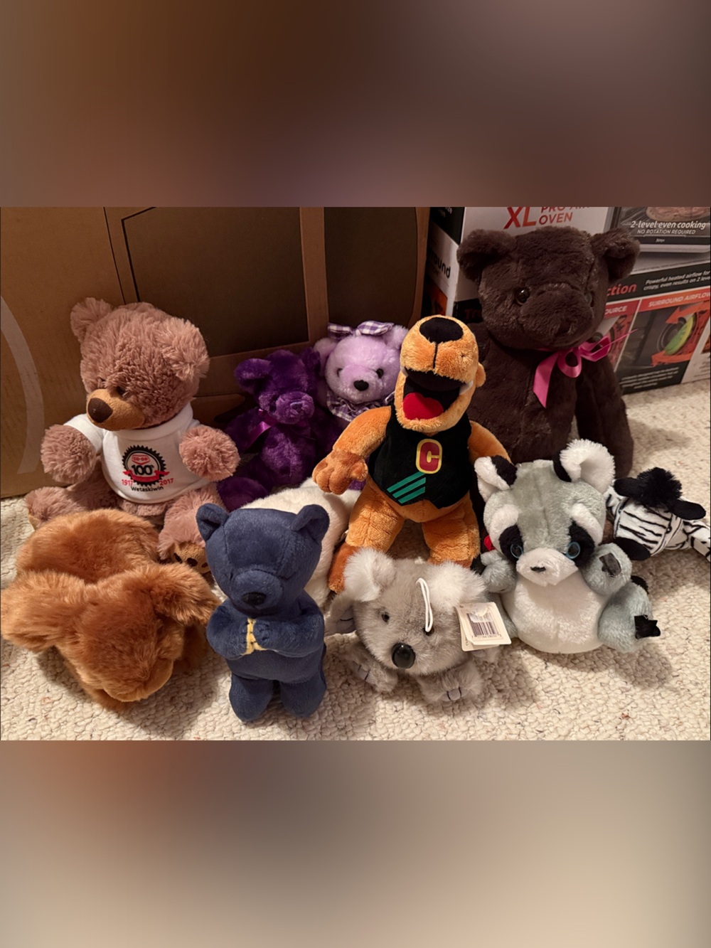 Plush Bear & Animal Plush Toy Bundle - Multi-Color Soft Kids Toys